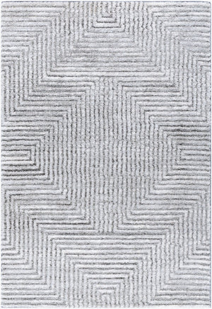 Livabliss Delight Plush Polyester Shag Rug Machine Woven in Turkey for Cozy Living Spaces DEL2309-537