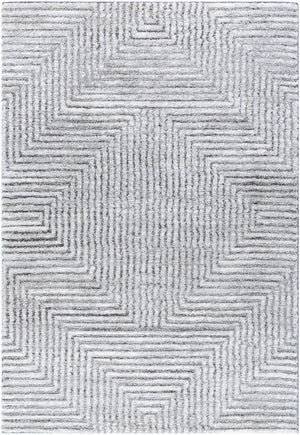 Delight Shag DEL-2309 7'10" x 10' Machine Woven Rug DEL2309-71010 Livabliss Surya