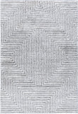 Delight Shag DEL-2309 7'10" x 10' Machine Woven Rug DEL2309-71010 Livabliss Surya