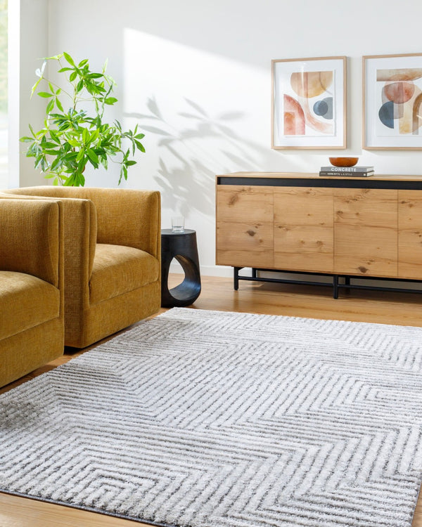 Livabliss Delight Plush Polyester Shag Rug Machine Woven in Turkey for Cozy Living Spaces DEL2309-537