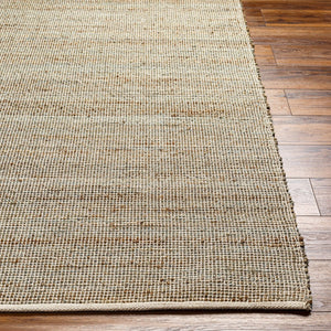 Livabliss Demi Handwoven Jute Flatweave Area Rug Natural Fiber Bohemian Rustic Living Room Accent Pale Blue, Ligh 5' x 7'6" DEM2301-576