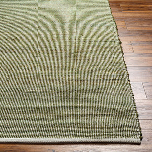 Livabliss Demi Handwoven Jute Flatweave Area Rug Natural Fiber Accent for Entryways and Layering DEM2303-23