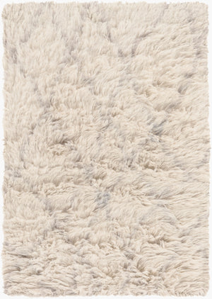 Surya Denali Handmade Rug - Luxurious 2' X 3' Premium Wool, Durable & Timeless Design For Your Home Charcoal Wool Den5004-23