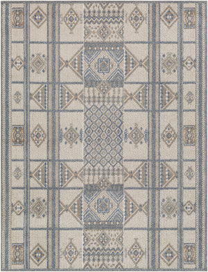 Delphi DEP-2301 7'10" x 10' Machine Woven Rug DEP2301-71010 Livabliss Surya