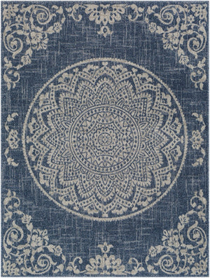 Livabliss Delphi Cottage Style Polypropylene Area Rug Machine Woven in Turkey for Living Rooms DEP2303-679