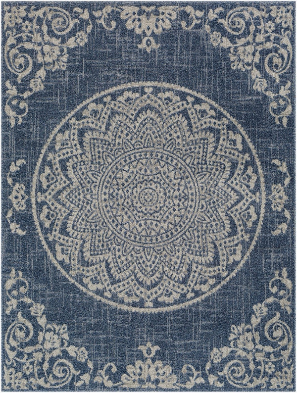 Livabliss Delphi Cottage Style Polypropylene Area Rug Machine Woven in Turkey for Living Rooms DEP2303-679