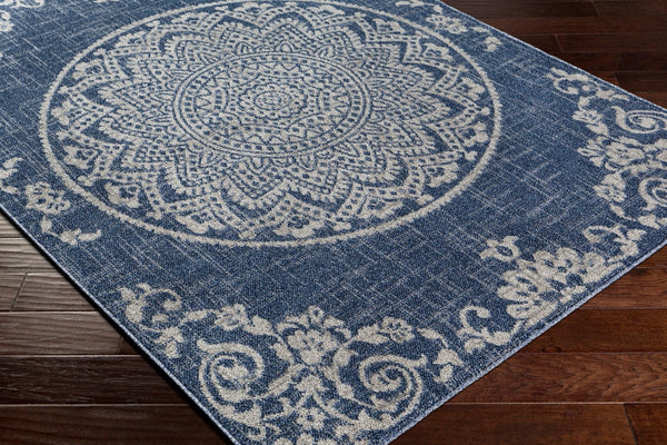 Livabliss Delphi Cottage Style Polypropylene Area Rug Machine Woven in Turkey for Living Rooms DEP2303-679