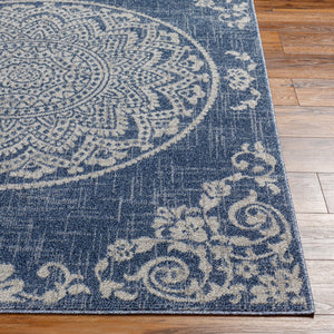 Livabliss Delphi Cottage Style Polypropylene Area Rug Machine Woven in Turkey for Living Rooms DEP2303-679