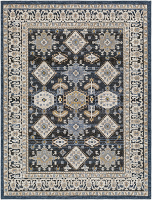 Delphi DEP-2307 7'10" x 10' Machine Woven Rug DEP2307-71010 Livabliss Surya