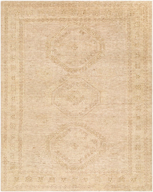 Surya Destiny Geometric Hand-knotted Wool Area Rug Mid-century Plush Pile Living Room Accent 9' x 12' Rectangle DEY2300-912