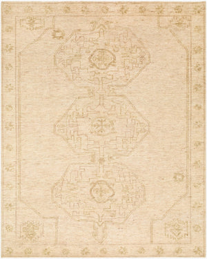 Surya Destiny Hand-knotted Wool Area Rug Mid-century Plush Pile Artisan Fringe Living Room 10' x 14' Rectangle DEY2301-1014