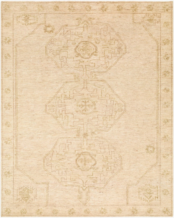 Surya Destiny Hand-knotted Wool Area Rug Mid-century Plush Pile Artisan Fringe Living Room 10' x 14' Rectangle DEY2301-1014