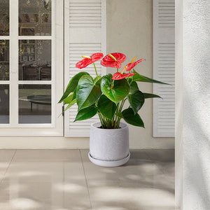 English Elm 2 Pieces Ceramic Planter Pot Set – Elegant Gloss White Flowerpots For Indoor & Outdoor Decor Spaces W3273P322374