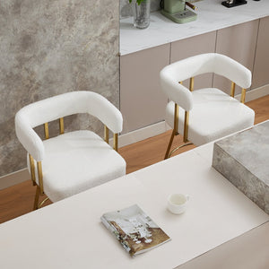 English Elm Ts Teddy Fleece Accent Chair Set of Two with Gold Square Legs for Glam Modern Spaces White W2311P412751