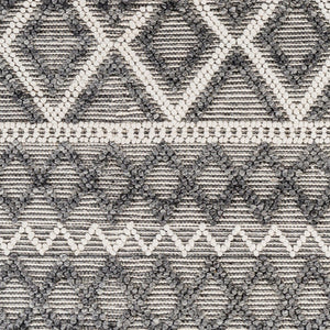 Livabliss Daffodil Handwoven Recycled Pet Runner Rug Cottage Style for Entryways and Hallways Ivory, Charcoal 8' x 10' DFF2300-810