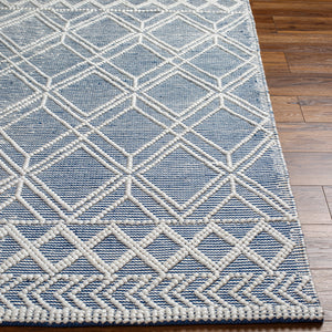 Daffodil DFF-2302 9' x 12' Handmade Rug DFF2302-912  Beige, Dark Blue Surya