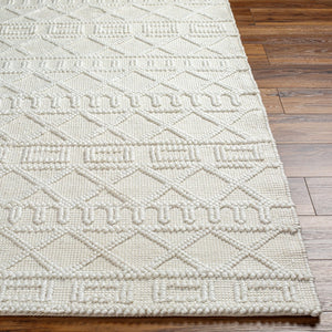 Livabliss Daffodil Handwoven Recycled Pet Runner Rug for Hallways Entryways Cottage Style Beige, Ivory 6' x 9' DFF2303-69