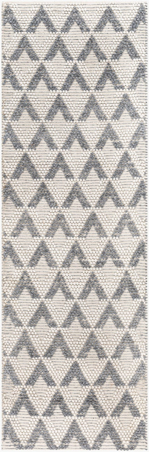 Livabliss Daffodil Handwoven Recycled Pet Runner Rug Cottage Style Hallway Entryway Accent Beige 2'6" x 8' DFF2304-268