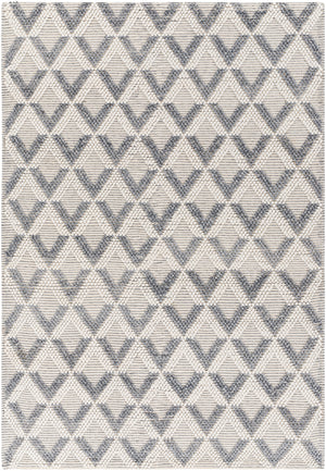 Daffodil DFF-2304 9' x 12' Handmade Rug DFF2304-912  Beige Surya