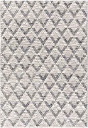 Livabliss Daffodil Handwoven Recycled Pet Runner Rug Cottage Style Hallway Entryway Accent Beige 9' x 12' DFF2304-912