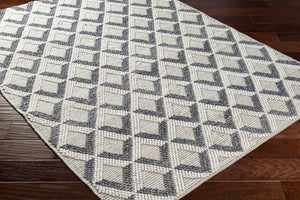 Livabliss Daffodil Handwoven Recycled Pet Runner Rug Cottage Style Hallway Entryway Accent Beige 8' x 10' DFF2304-810