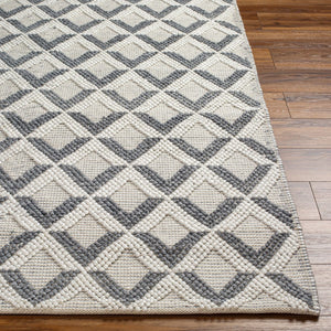 Livabliss Daffodil Handwoven Recycled Pet Runner Rug Cottage Style Hallway Entryway Accent Beige 8' x 10' DFF2304-810