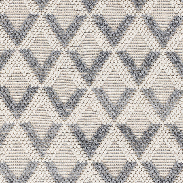 Daffodil DFF-2304 9' x 12' Handmade Rug DFF2304-912  Beige Surya