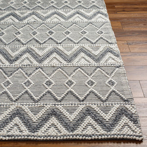 Livabliss Daffodil Hand Woven Recycled Pet Runner Rug Cottage Style for Hallway or Entryway Gray, White 9' x 12' DFF2305-912