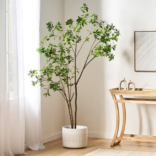 English Elm 210cmartificial Pieris Tree Nearly 7 Foot Faux Indoor Statement Plant Iron Frame 74346.00