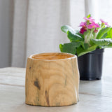 Faux Bois Garden Forest Pot, 5" ECL36005 Park Hill