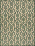 Nourison Horizon Indoor/Outdoor HOZ01 Machine Made Power-loomed Borderless Design Indoor/Outdoor Modern Outdoor Rug Green, Green 88% Polypropylene,12% Polyester 841491126424