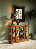 Lighted 1 Shelf Console Display Cabinet in Golden Oak Brown Brown 6715 Pulaski Furniture