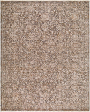 Livabliss Demre Traditional Fringe Polyester Area Rug Turkey Woven for Large Living Spaces Charcoal, Brown 10' x 14' DMM2301-1014