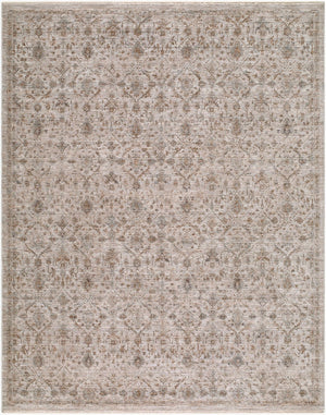 Livabliss Demre Turkish Machine Woven Medallion Area Rug with Fringe for Living Dining Rooms Medium Gray, Br 10' x 14' DMM2304-1014