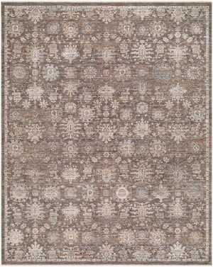 Livabliss Demre Traditional Fringe Area Rug Machine Woven Polyester for Living and Dining Rooms Charcoal, Brown 7'10" x 10' DMM2305-71010