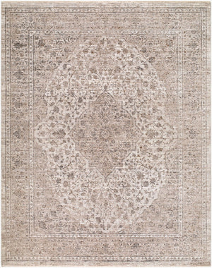Livabliss Demre Traditional Fringe Polyester Area Rug Woven in Turkey for Living Dining Rooms Medium Gray, Wh 10' x 14' DMM2306-1014