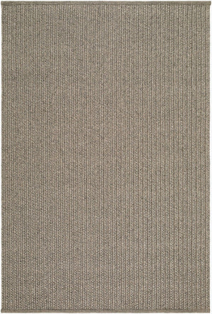 Surya Denizli Handwoven Flatweave Polypropylene Rug Coastal Indoor Outdoor Large Area 2' x 3' Rectangle DNZ2300-23