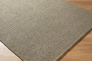 Surya Denizli Handwoven Flatweave Polypropylene Rug Coastal Indoor Outdoor Large Area 2' x 3' Rectangle DNZ2300-23