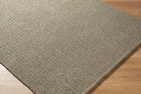 Surya Denizli Handwoven Flatweave Polypropylene Rug Coastal Indoor Outdoor Large Area 2' x 3' Rectangle DNZ2300-23
