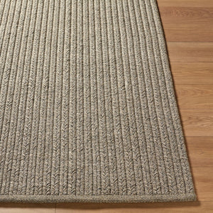 Surya Denizli Handwoven Flatweave Polypropylene Rug Coastal Indoor Outdoor Large Area 2' x 3' Rectangle DNZ2300-23