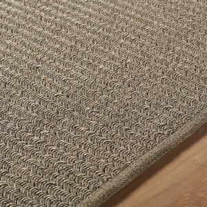 Surya Denizli Handwoven Flatweave Polypropylene Rug Coastal Indoor Outdoor Large Area 2' x 3' Rectangle DNZ2300-23