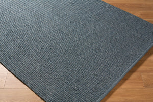 Surya Denizli Flatweave Polypropylene Rug Coastal Beach Style Indoor Outdoor Living Space 9' x 12' Rectangle DNZ2301-912