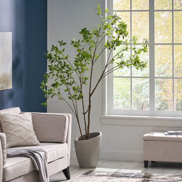 English Elm 210cmartificial Pieris Tree Nearly 7 Foot Faux Indoor Statement Plant Iron Frame 74346.00