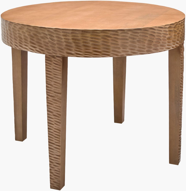 Surya Dobbin Mid-century Modern End Table Artisan Crafted Generous Surface for Living Room DOBN001-243030