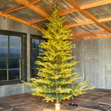 Park Hill Great Northern Spruce Christmas Tree, 9' XPQ90664 Park Hill