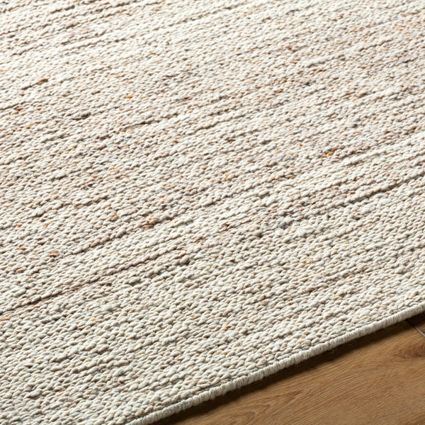 Derby DRB-2300 9' x 12' Handmade Rug DRB2300-912  Warm Grey, Light Silver, Pearl Surya