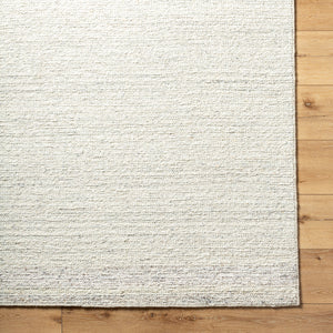 Derby DRB-2301 9' x 12' Handmade Rug DRB2301-912  Light Silver, Pearl, Ash Surya