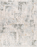 Dresden DRE-2301 7'10" x 10'2" Machine Woven Rug DRE2301-710103 Livabliss Surya