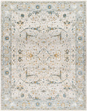 Dresden DRE-2309 7'10" x 10'2" Machine Woven Rug DRE2309-710103 Livabliss Surya