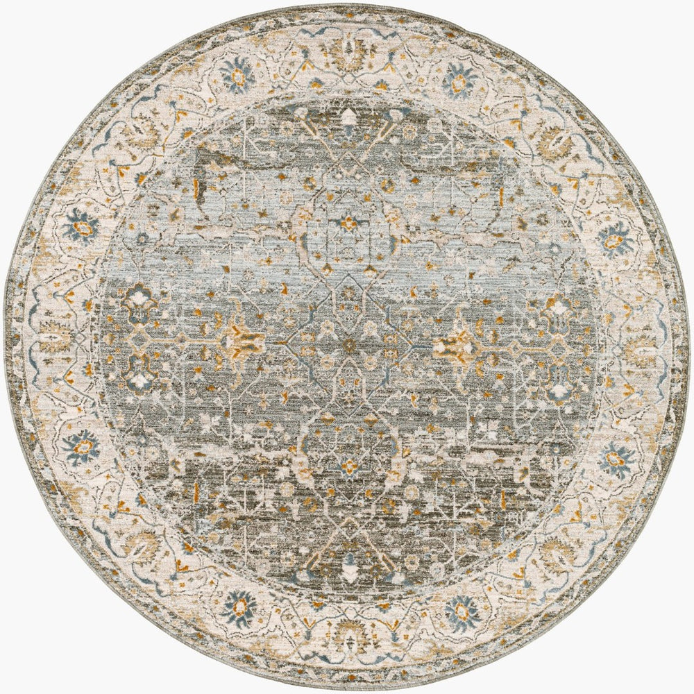 Livabliss Dresden Traditional Polyester Area Rug Machine Woven in Turkey for Living and Dining Rooms Dusty Sage, Tau 7'10" x 7'10" DRE2310-710RD